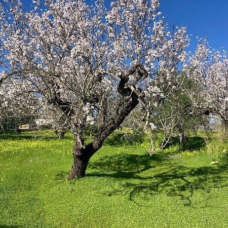 فيلا Casa Tranquila Barrada ألكوتيم المظهر الخارجي الصورة