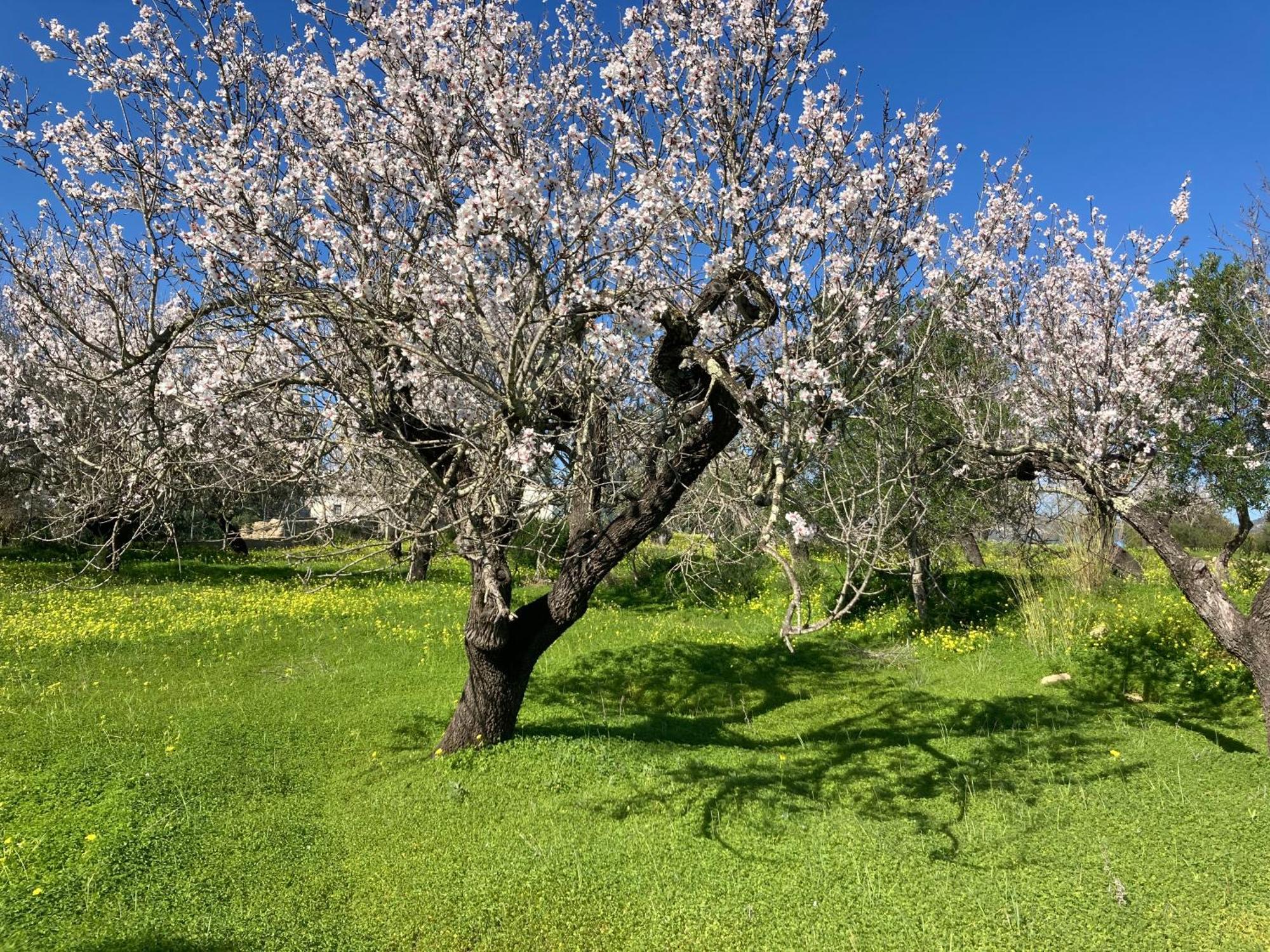 فيلا Casa Tranquila Barrada ألكوتيم المظهر الخارجي الصورة