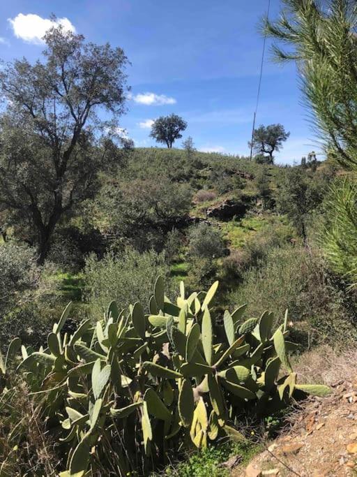 فيلا Casa Tranquila Barrada ألكوتيم المظهر الخارجي الصورة